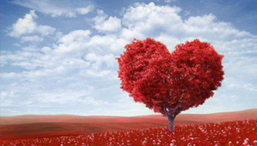 San Valentino 2019 al Tropico Latino! San Valentino 2019 al Tropico Latino!