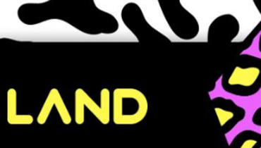 Sabato notte @ discoteca Land Sabato notte @ discoteca Land